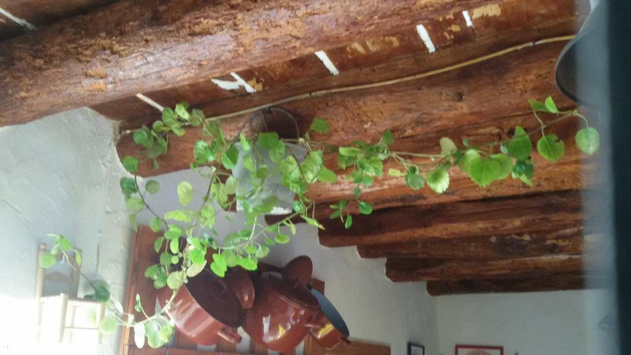 La Casa De La Acequia Guest House Seron Exterior photo